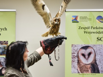 Noc Sów w Lesie Łagiewnickim 2023, fot. Bartłomiej Stępień, 